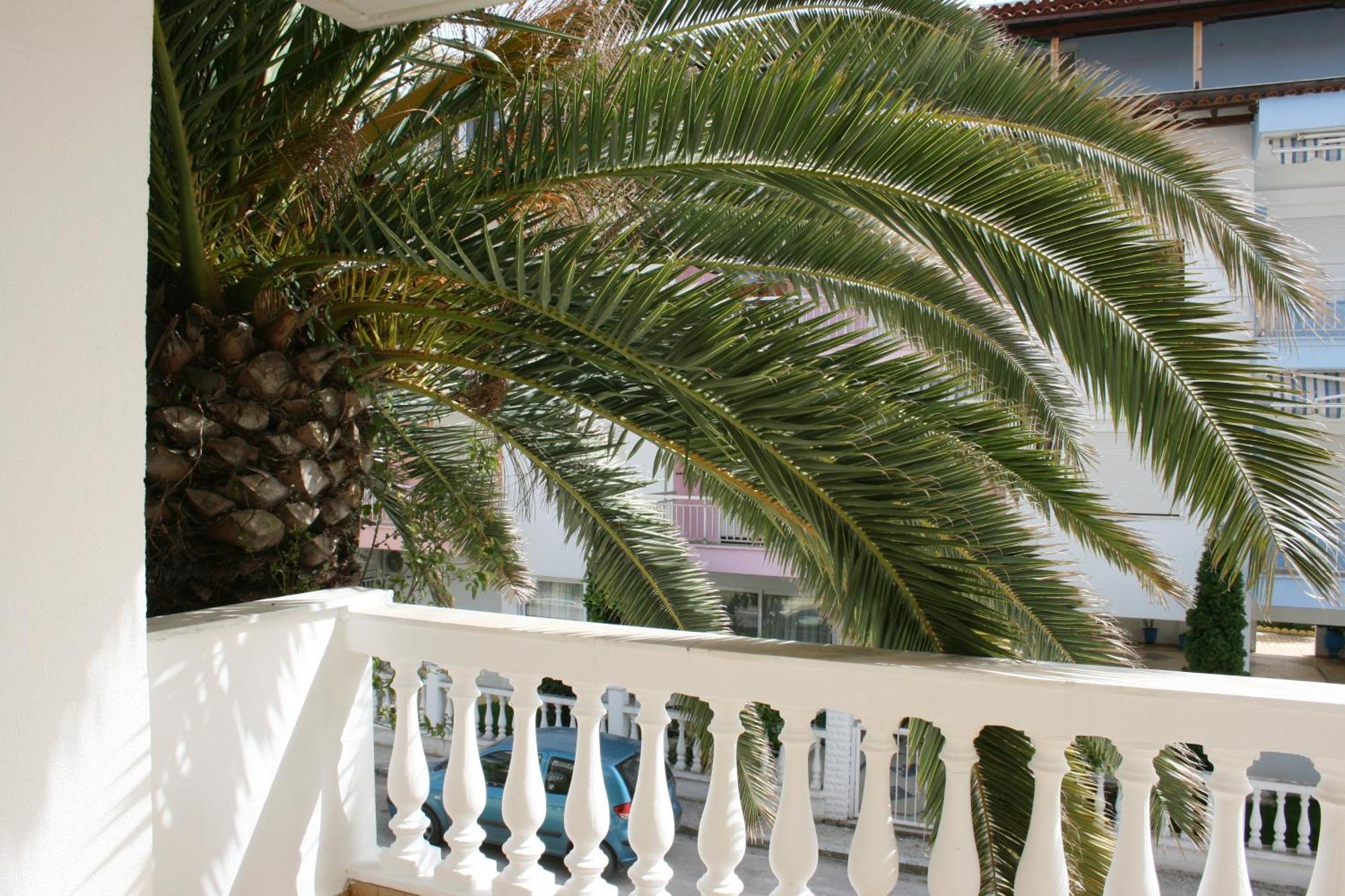 Dionisos Palms Apartments Paralia Dionisiou Eksteriør billede
