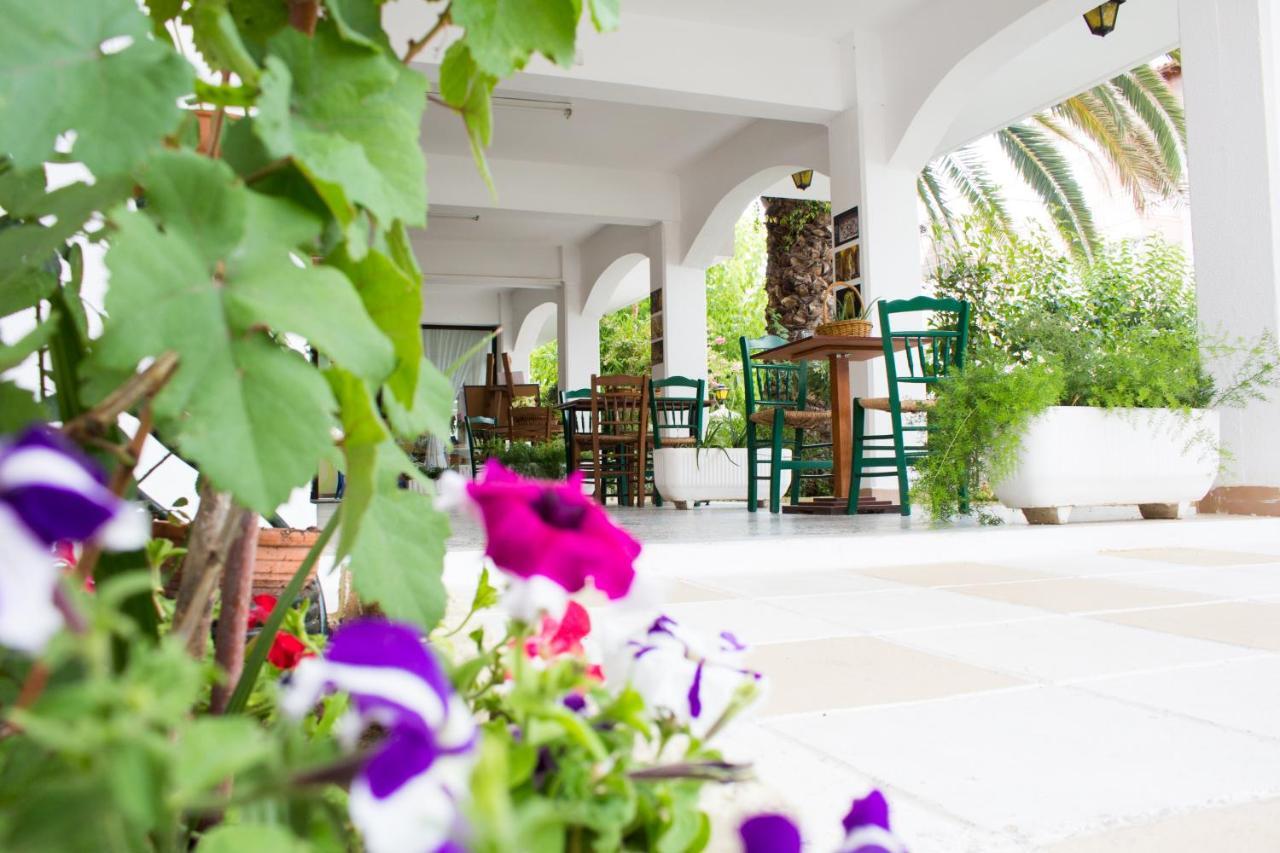 Dionisos Palms Apartments Paralia Dionisiou Eksteriør billede